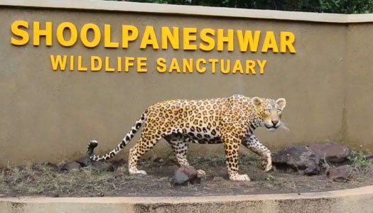 Shoolpaneshwar Wildlife Sanctuary
