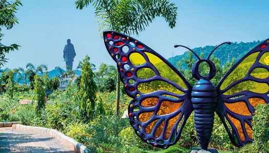 Butterfly Garden