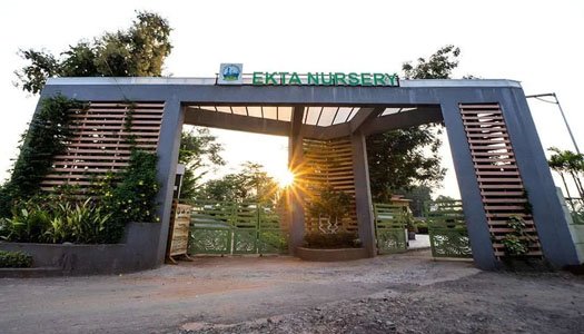 Ekta Nursery