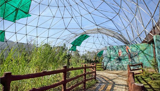 Geodesic Aviary