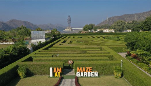 Maze Garden