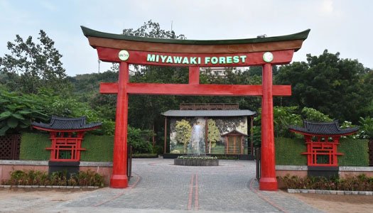Miyawaki Forest