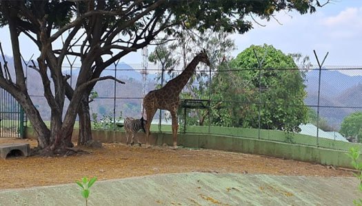 Sardar Patel Zoological Park